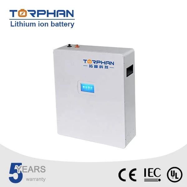 Lifepo4 Lithium Iron Phosphate Battery