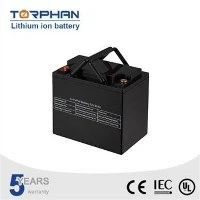 How do I store a golf cart battery during the off - season?