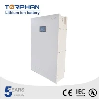 LiFePO4 Battery Bms Lithium