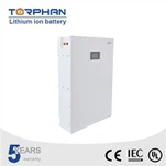 Lithium Iron Phosphate Battery Pack