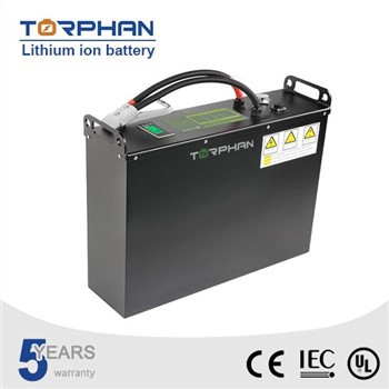 Lithium Lifepo4 Forklift Batteries