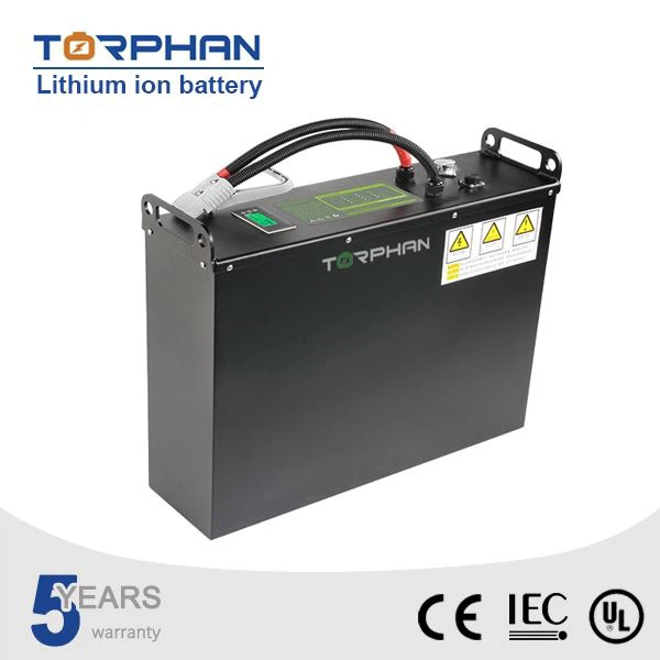 48V Lithium Batteries For Forklift