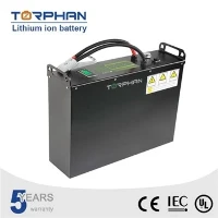 Lithium Batteries 48v For Forklift